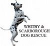 Whitby & Scarborough Dog Rescue